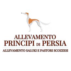 Allevamento e pensione Principi di Persia, Inveruno orari di apertura