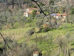 Agriturismo Foddi, Fosdinovo orari di apertura