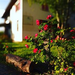 Villa Bagnole B&B and Holiday Apartments, Lonato del Garda orari di apertura