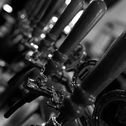 Angie's Pub, Firenze orari di apertura