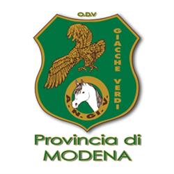 Giacche Verdi - Modena, orari di apertura