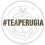 La Pianta del Tè, Perugia orari di apertura