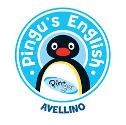 Pingu's English Avellino, orari di apertura