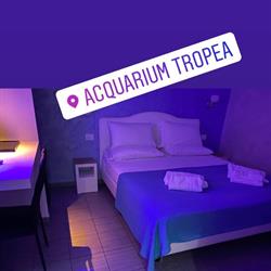 Acquarium Tropea, orari di apertura