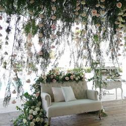 Fiorista Perugino Project Wedding, Acerra orari di apertura