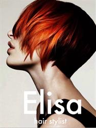 Elisa Hair Stylist, Codogno orari di apertura