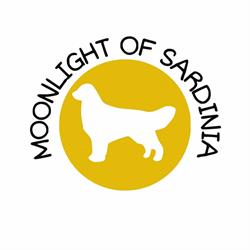 Moonlight Of Sardinia, Villamassargia orari di apertura
