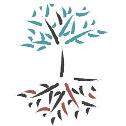 Shiatsu Sara Gallo, Torino orari di apertura
