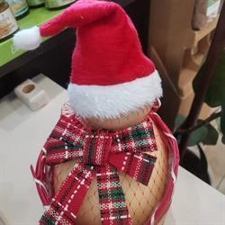 Sapori del Sud, San Salvo orari di apertura