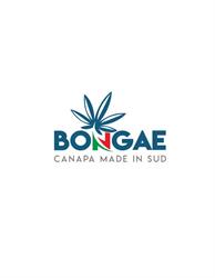 BONGAE - Negozio di Cannabis, Riposto orari di apertura