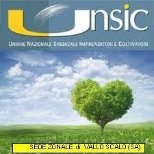 CAA UNSIC, Castelnuovo Cilento orari di apertura