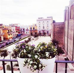 B&B La Petunia Blu, Adelfia orari di apertura