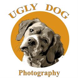 Ugly Dog Photography, Sestri Levante orari di apertura