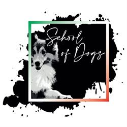 School of Dogs, Loreto orari di apertura
