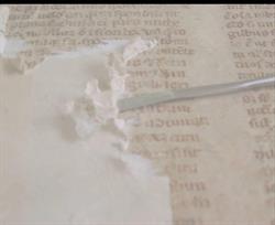 Ars Libraria, Burago di Molgora orari di apertura