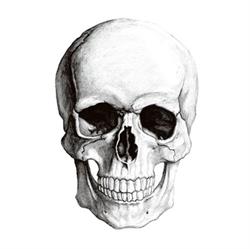 SkullInk Studio Tattoo, Potenza orari di apertura