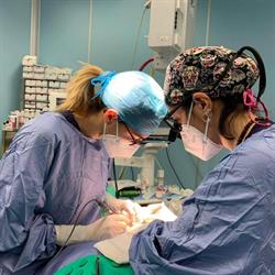 Centro odontoiatrico Alessia Acquaviva, Acquaviva delle Fonti orari di apertura