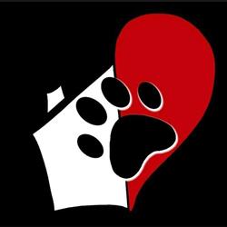 Dog Village di Omar Bertino, San Giovanni la Punta orari di apertura