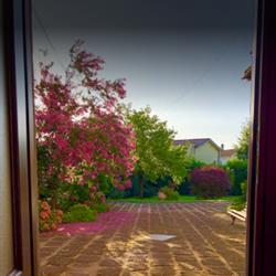 Il Giardino Segreto Apartment, Carbognano orari di apertura