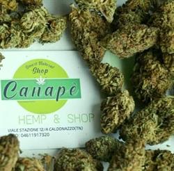 Canapè smart natural shop, Caldonazzo orari di apertura