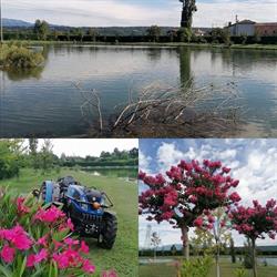 I LAGHI GOLIA, Montebelluna orari di apertura