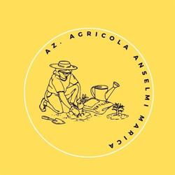 Az. Agricola Anselmi Marica, Veronella orari di apertura