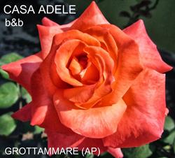 B&B Casa Adele, Grottammare orari di apertura