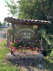 Azienda Agricola Colle Doro, Trissino orari di apertura