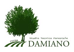 Studio Tecnico Forestale Damiano, Scigliano orari di apertura