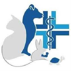 Ambulatorio Veterinario San Francesco, Napoli orari di apertura
