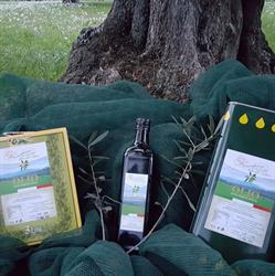 Azienda Agricola Miani,Olio Extravergine D Oliva, Pianella orari di apertura