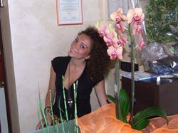 Small Paradise, Manfredonia orari di apertura