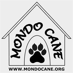 Centro Cinofilo Chieri "Mondo Cane", orari di apertura