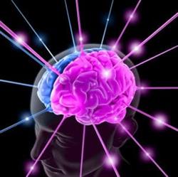 CNP Centro di Neuropsicologia e Psicoterapia, Bari orari di apertura