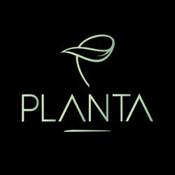Ristorante Planta, Palermo orari di apertura