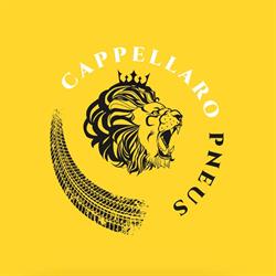 CAPPELLARO PNEUS - ROZZANO, Rozzano orari di apertura
