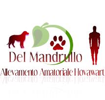 Allevamento amatoriale hovawart del mandrullo, Sasso Marconi orari di apertura