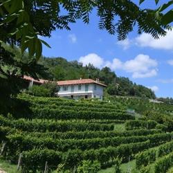 Cascina Flino, Diano d'Alba orari di apertura
