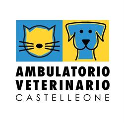 Ambulatorio Veterinario Castelleone, orari di apertura
