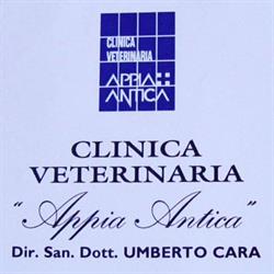 Clinica Veterinaria Appia Antica, Roma orari di apertura