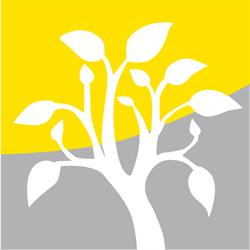 yourDIGITAL, Roma orari di apertura
