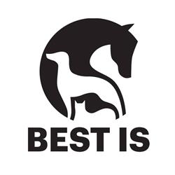 Best Is - Clinica Veterinaria Adorini, Zugliano orari di apertura