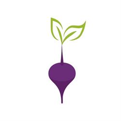Barbabietola Naturally Food, Asti orari di apertura