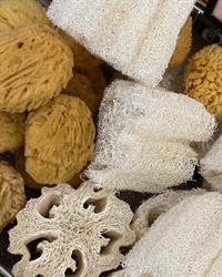 Eco Bolle MeglioSfuso, Trieste orari di apertura