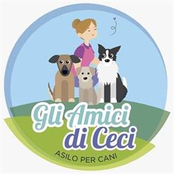 Amici di Ceci - Asilo e Socializzazione per cani, Merate orari di apertura