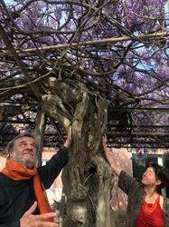 Giardinetto de Laventia, Avenza orari di apertura