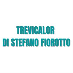 Trevicalor di Stefano Fiorotto Srl - Vaillant Partner, Treviso orari di apertura