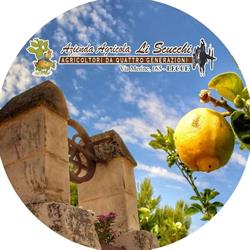 Azienda agricola Li Scucchi, Lecce orari di apertura