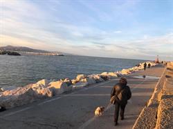 I Pippo, Giulianova orari di apertura