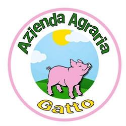 Azienda Agraria - Gatto, Osimo orari di apertura